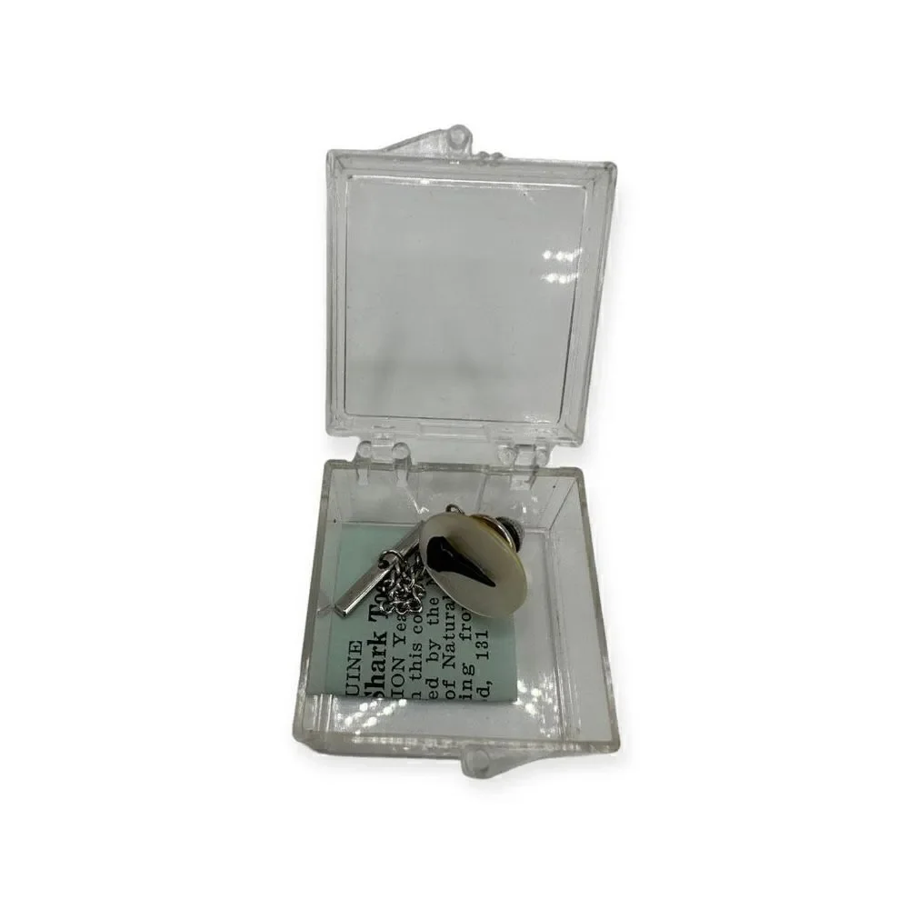 Genuine shark tooth cuff link in a clear box